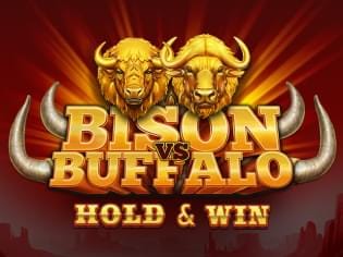Bison vs Buffalo game thumbnail