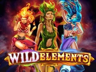 Wild Elements game thumbnail