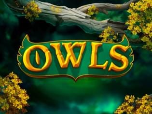 Owls game thumbnail